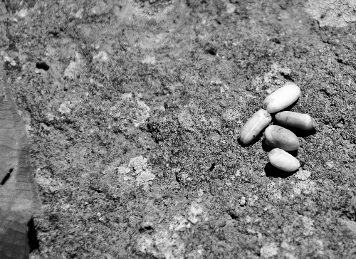 �����������Σֲ��ͻ������ɽ