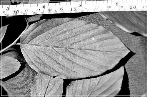 �����������Σֲ��ͻ������ɽ