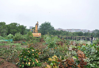 ��������(�����ֵ�)��չ���ߴ������й����ж�