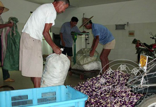 ���ѱ����չ�������ũ