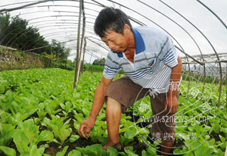 ����������������50�򹫽�