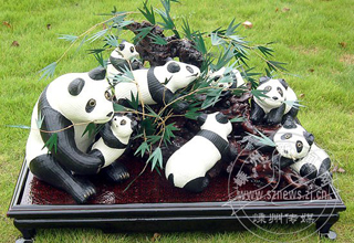 ������ࡶ��ܰ�������ࡰ�˲лᡱ