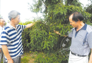 ��ҡǮ�����¸�ɽ