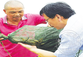 �������������������