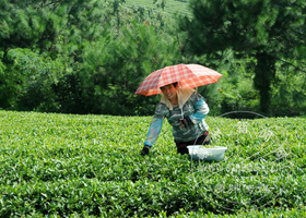 ��ũϲժ���