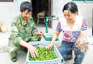 ��������۸�