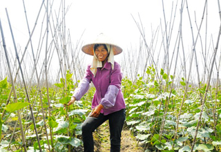 �߻��㡪���չ��߲���ǧ����