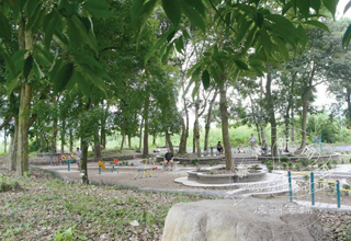 ���չ�ľ���� ������й�԰