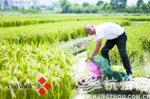 ��ũ������ˮ������æµ��