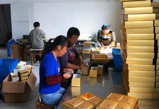 ���Ʈ��������