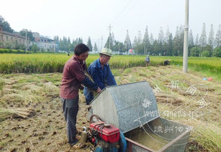 ������ϲ�����