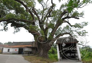 ��������������Σ�� �ڴ��йز�����Ԯ��