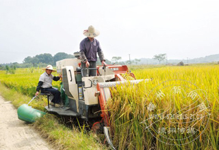 ���������ո� Ԥ��ƽ��Ķ��490����