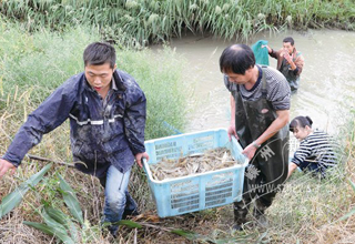 ��ɫˮ����ֳ�ḻ�����������