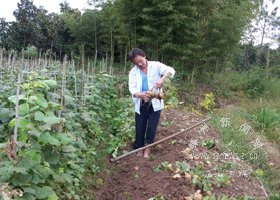 �ع��ֵú� ����������