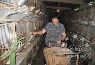 ��ë����ֳҵӭ��������