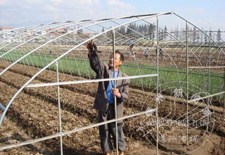 ����� ��ֲ�����߲�