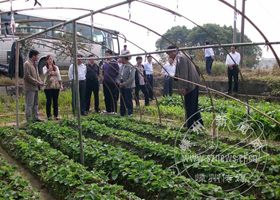 ��ģ��ֲ����ӭ����ؿ���