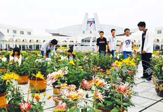 ����һ�� ǧ����������Ũ