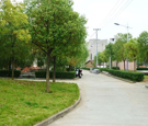 塪Ȼгദ