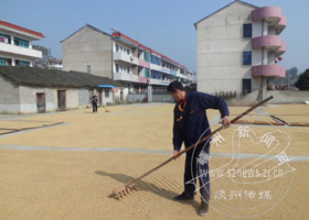 �弶�㳡�������ɹ��