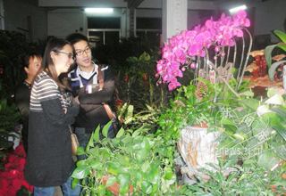 ���䣬�������۲����䡱