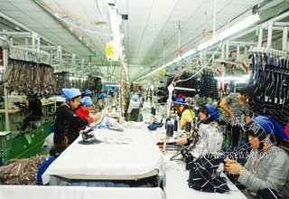 ʢ̩ɫ֯���������12��Ԫ