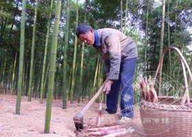 �������  ��ũ��