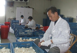 �ӱ������ꡰʢ����