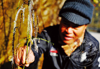 ·�߱��������