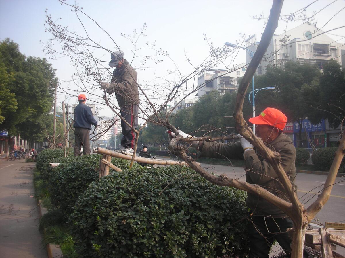 �޼��޼��ù���