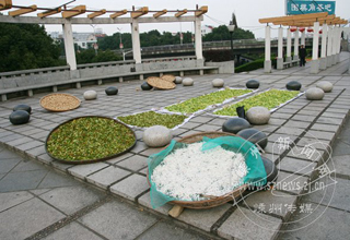 ����ֲ�ɹ�ˣ����ţ�