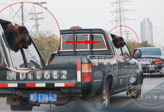 ͻȻð���Ĺ�ͷ �밮����ʿ�ܺù�