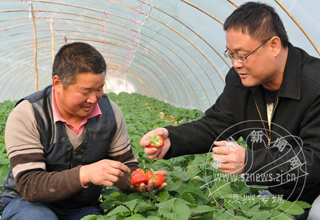 �Ƽ���ũ���� ��ݮ��������