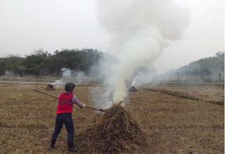 ���յ���Ӱ�컷��