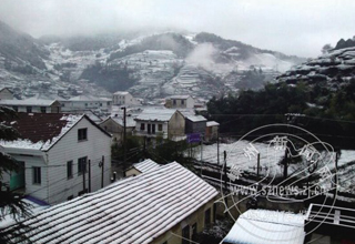 �����ѩ��