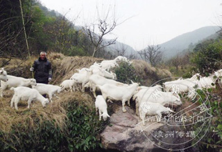 �����֡���ɽ��