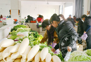 ����Ҳ�����²˳�