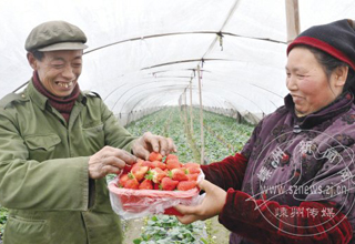 ���㡰���¡����� ��ݮ��������