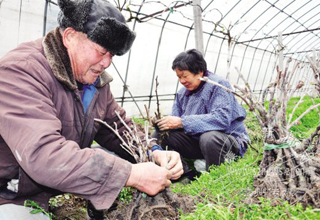 ���־�Ʒ���� ������ҵ����