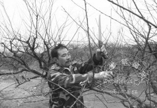 �޼�����������