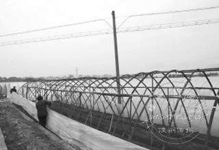 æ�����������