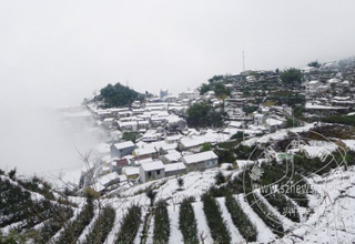 ɽ����ѩ����