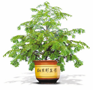 ��/פ������ϯ���� ���ڱ� ���� �����