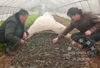 ũ���ɲ���ͷָ��������