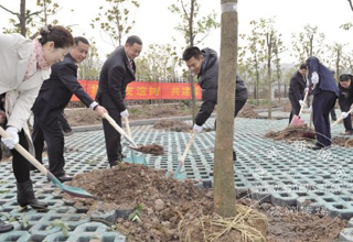 ����������  �����̻���