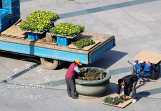 �軨װ��ӭ����