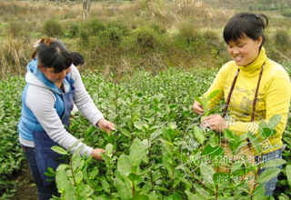 ���迪ժ Խ����������