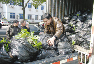 ��ѷַ���ľ ����ɭ������