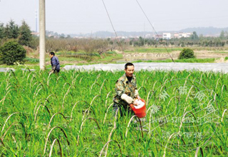 ¹ɽ�ֵ����Ĵ� ��ũ������æ